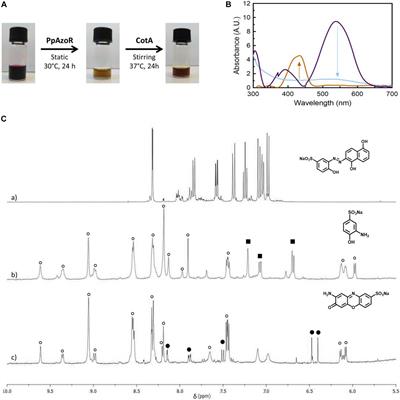 Wasteful Azo Dyes as a Source of Biologically Active Building Blocks